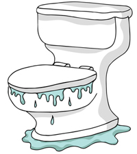 An image of an overflowing toilet.